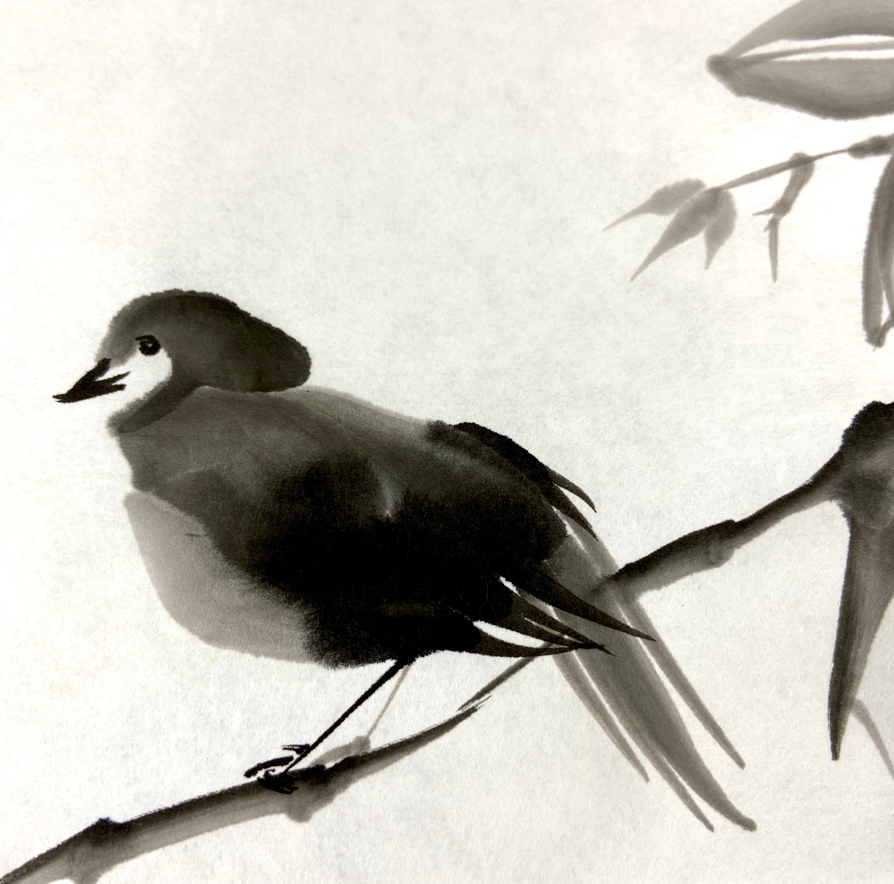 Yasutomo Sumi Ink - Black Shellac – ARCH Art Supplies